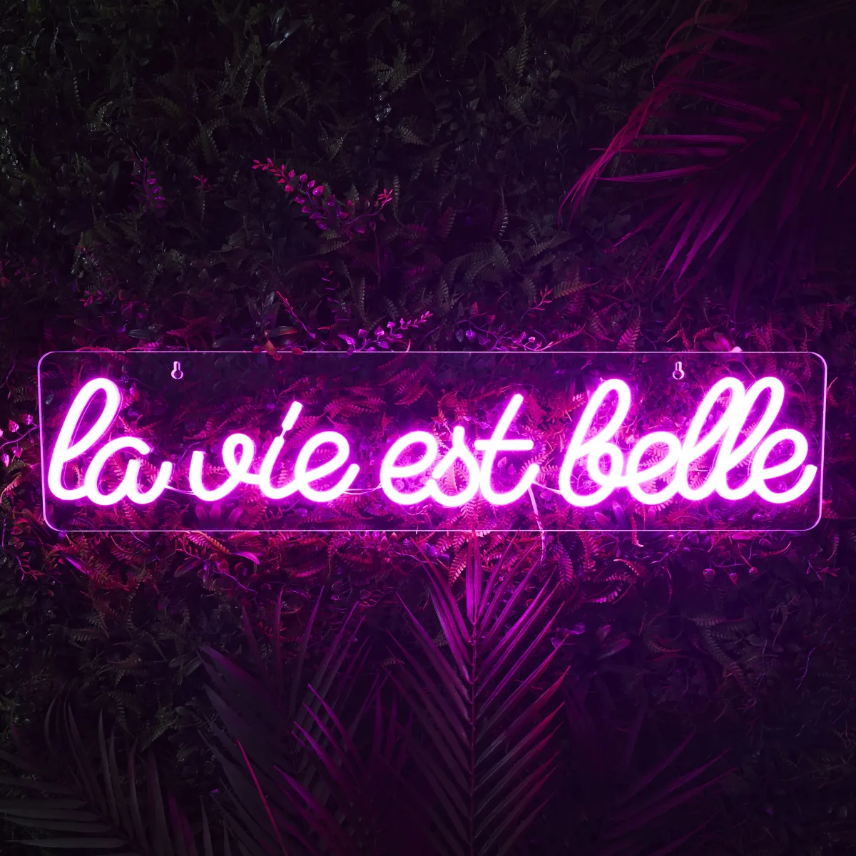 La Chaise Longue LAMPE EFFET NÉON LA VIE EST BELLE Shop
