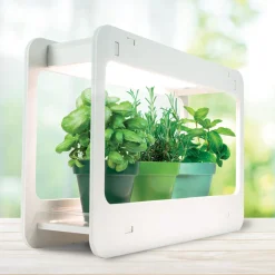 La Chaise Longue LAMPE POTAGER D'INTERIEUR Cheap