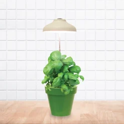 La Chaise Longue LAMPE POUR PLANTE USB Best Sale