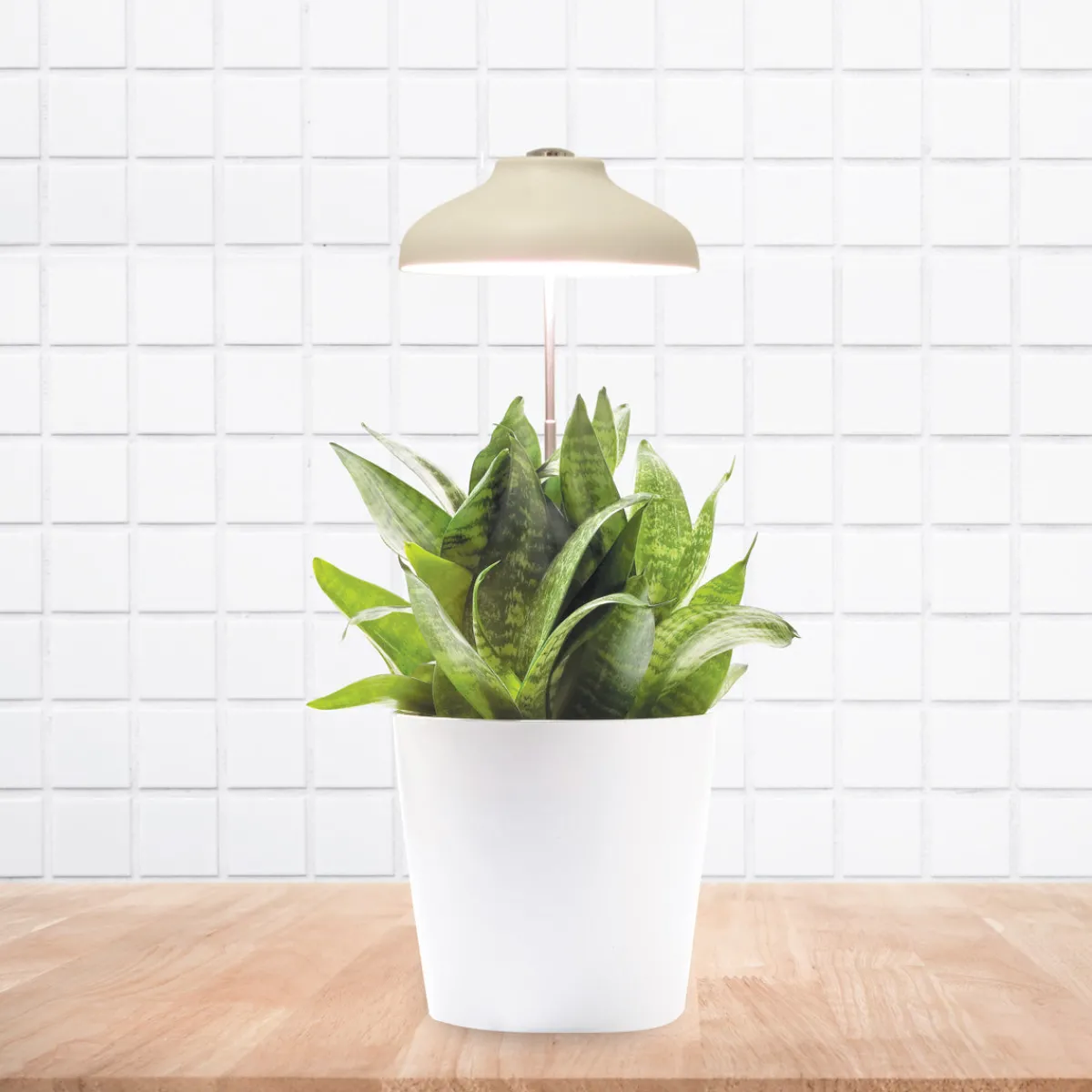 La Chaise Longue LAMPE POUR PLANTE USB Best Sale