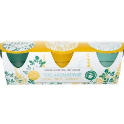 La Chaise Longue TRIO AROMATIQUE Fashion